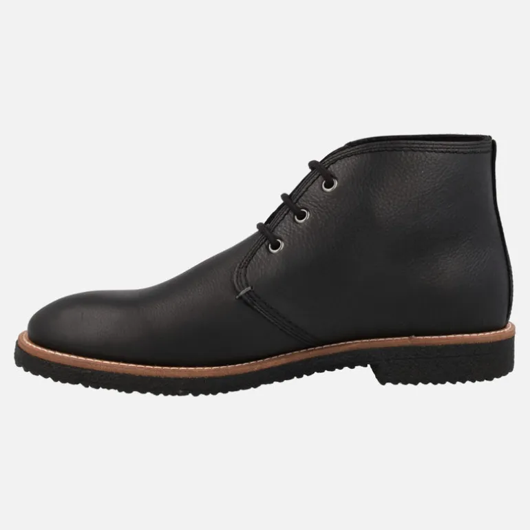 Botines de piel con cordones Panama jack Gael