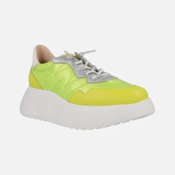Deportivas Wondersfly Berlín
