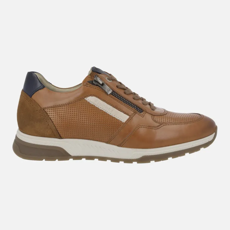 Deportivos de piel con cordones y cremallera Louis