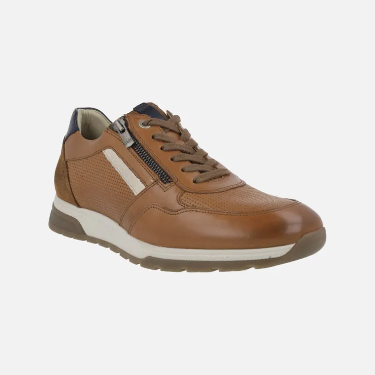 Deportivos de piel con cordones y cremallera Louis
