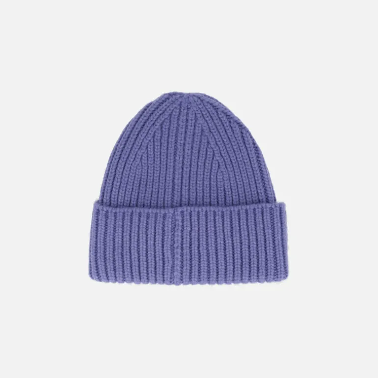 Gorros de punto UGG Chunky Rib Beanie W Logo