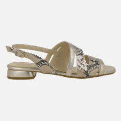 Sandalias bajas en animal print serpiente combinada con dorado