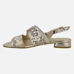 Sandalias bajas en animal print serpiente combinada con dorado