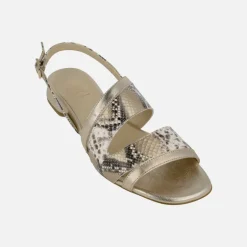 Sandalias bajas en animal print serpiente combinada con dorado