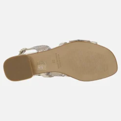 Sandalias bajas en animal print serpiente combinada con dorado