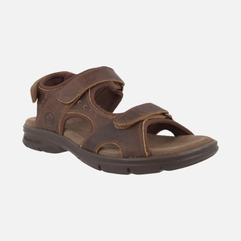 Sandalias de piel Salton con forro de lycra y cierre de velcro