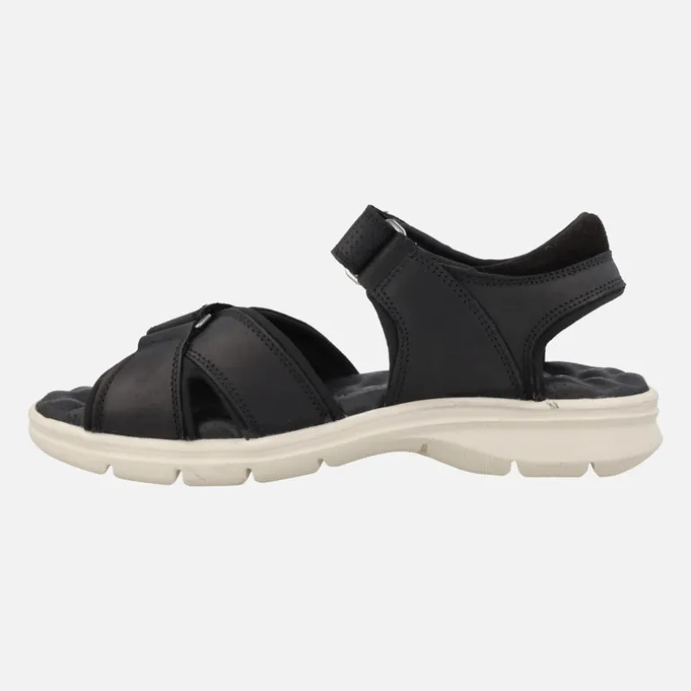 Sandalias para hombre Panama jack Sanders en napa grass negra