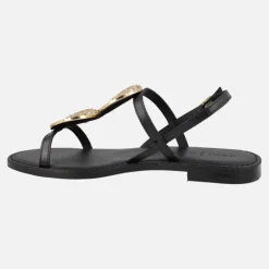 Sandalias planas negras con adornos en dorado Maddalusia