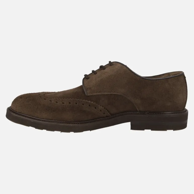 Zapatos de cordones con pala vega en piel serraje