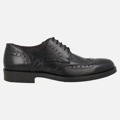 Zapatos de piel con cordones y pala vega