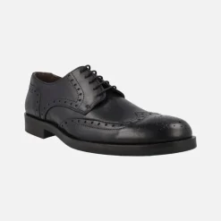 Zapatos de piel con cordones y pala vega