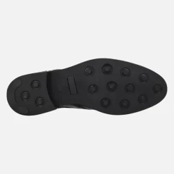 Zapatos de piel con cordones y pala vega