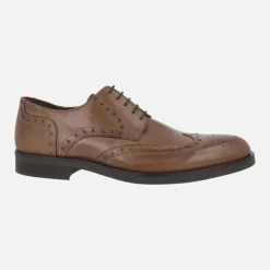 Zapatos de piel con cordones y pala vega