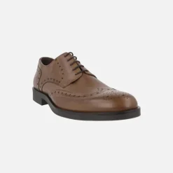 Zapatos de piel con cordones y pala vega