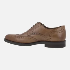 Zapatos de piel con cordones y pala vega