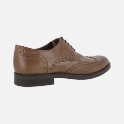 Zapatos de piel con cordones y pala vega