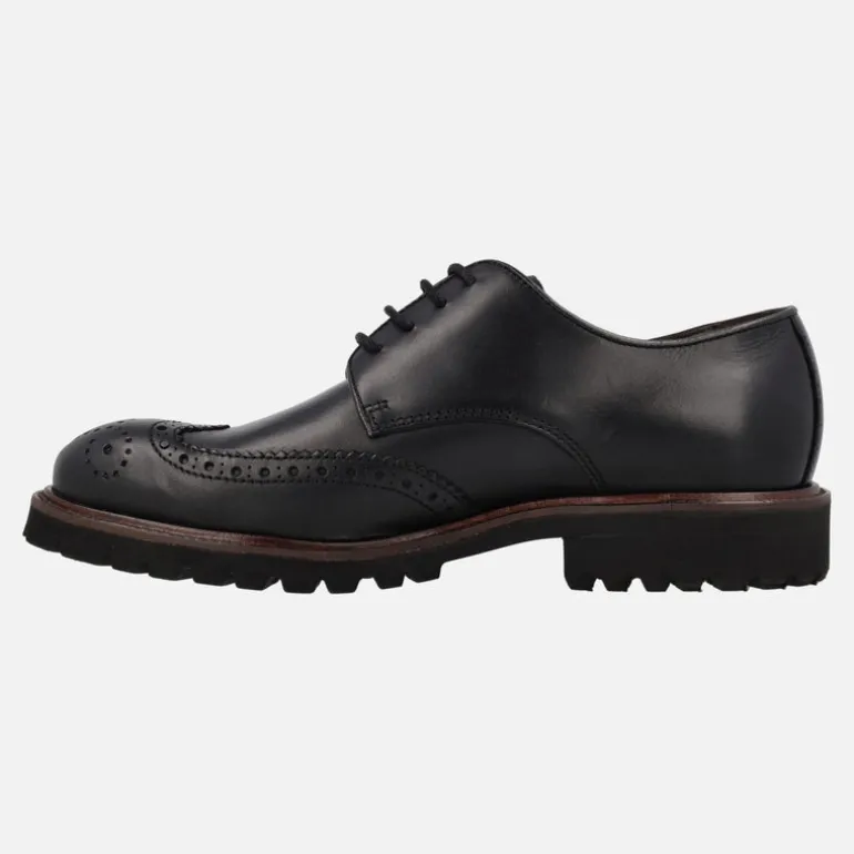 Zapatos de piel con cordones pala vega y picados