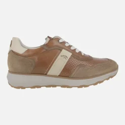 Zapatos deportivos en combinado marrón Walter