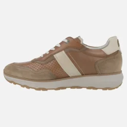 Zapatos deportivos en combinado marrón Walter