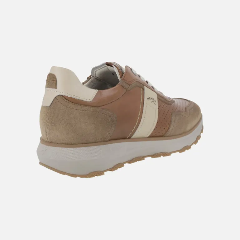 Zapatos deportivos en combinado marrón Walter