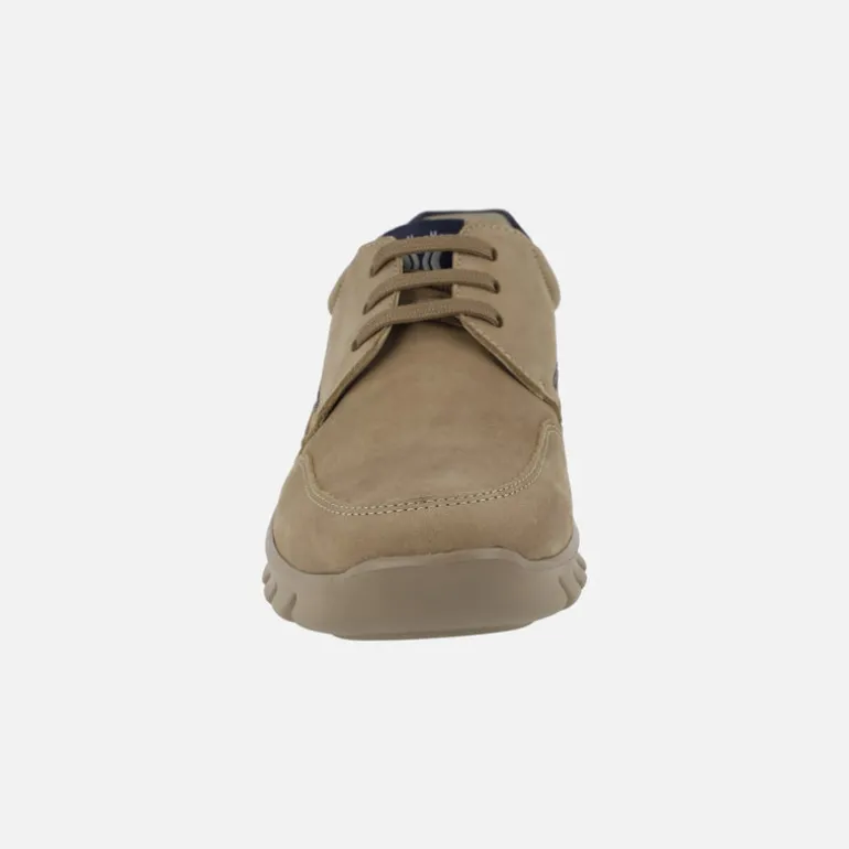 Zapatos deportivos Mazi en nobuck engrasado taupe